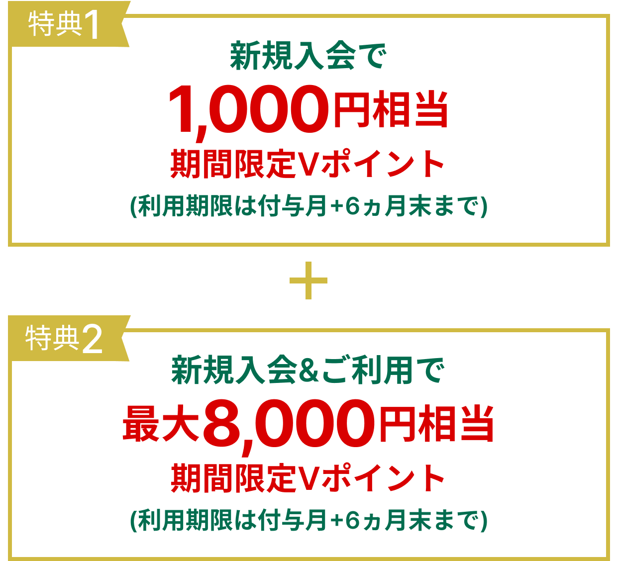 新規入会で1,000円分Vポイントギフトコードをプレゼント！新規入会＆ご利用で最大10,000円相当のVポイントプレゼント！