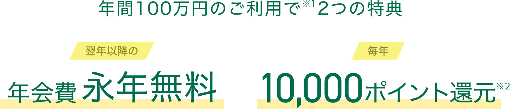 年間100万円のご利用で翌年以降の年会費永年無料 毎年10,000ポイント還元