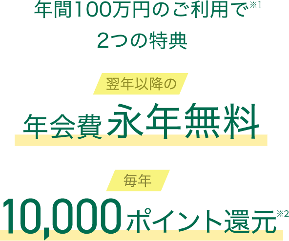 年間100万円のご利用で翌年以降の年会費永年無料 毎年10,000ポイント還元