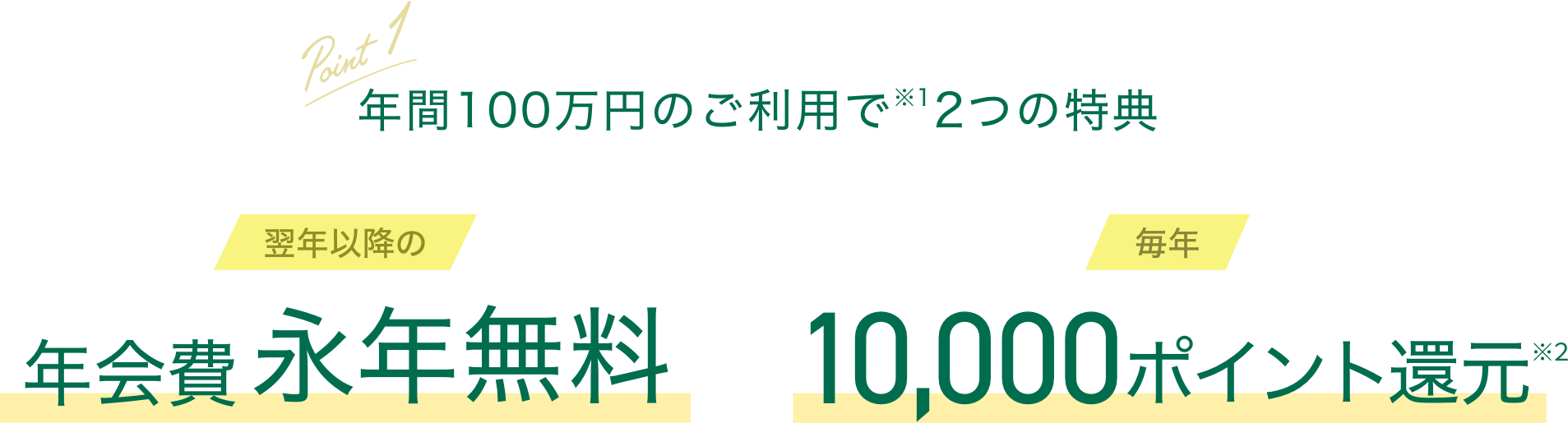 年間100万円のご利用で翌年以降の年会費永年無料 毎年10,000ポイント還元