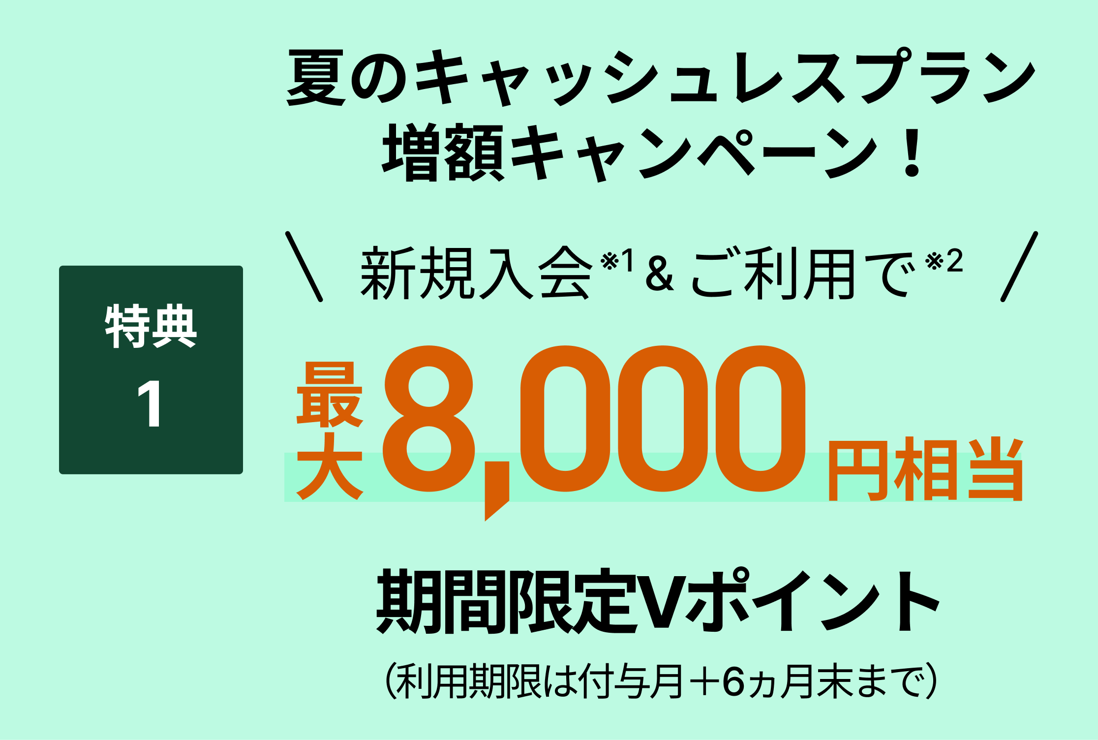 特典1キャッシュレスプラン新規入会＆ご利用で最大5,000円相当期間限定Vポイント