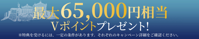 最大65,000円相当のVポイントプレゼント!