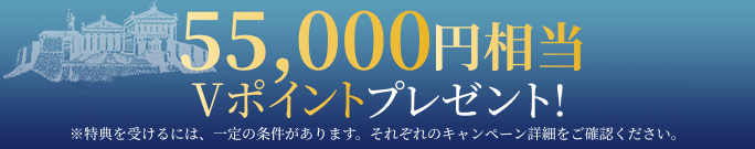 55,000円相当のVポイントプレゼント!