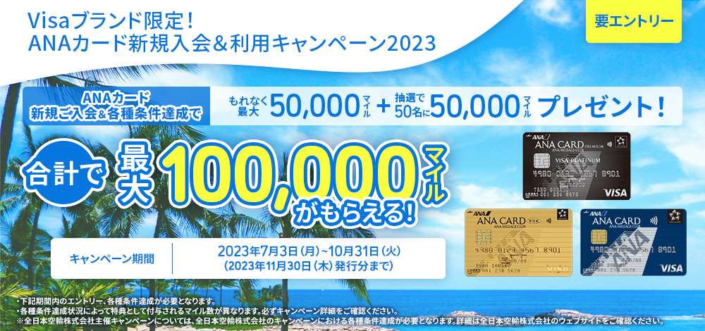 Visaブランド限定！ANAカード新規入会＆利用キャンペーン2023