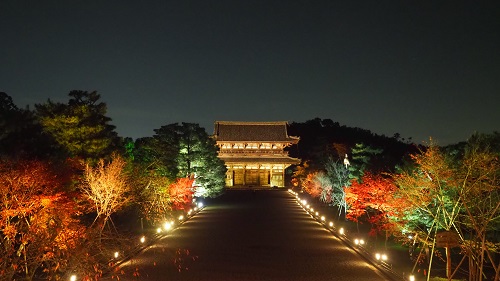 仁和寺 イメージ