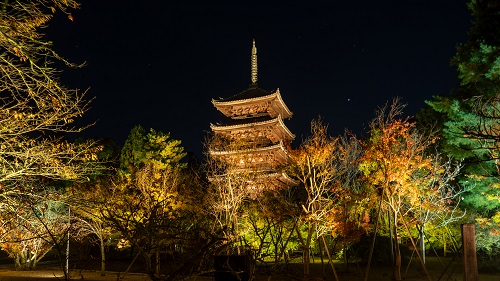 仁和寺 イメージ