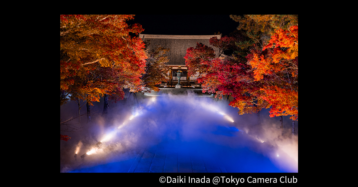 世界遺産 仁和寺 紅葉ライトアップ貸切拝観のご案内