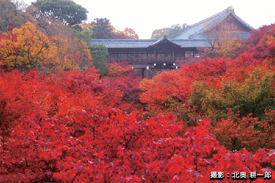 絶景の紅葉名所と特別拝観・特別公開で巡る とっておきの京都紅葉狩り2・3日間