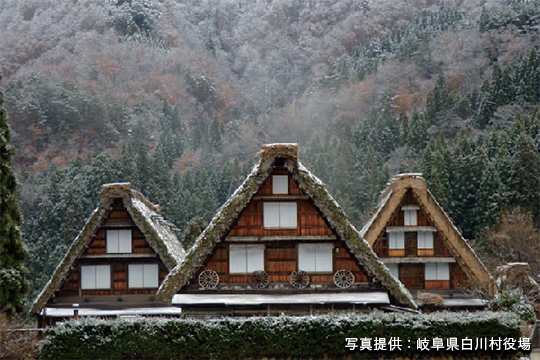 飛騨牛・橋立蟹・寒ブリ 冬の信州・飛騨・北陸の味覚を味わう3日間