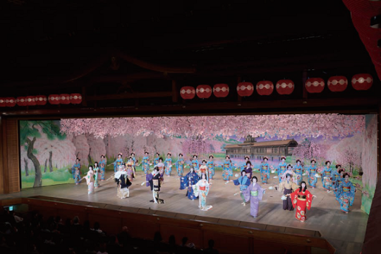特別企画「祇園お茶屋遊び」と「都をどり」 国宝に咲く桜を観賞する2・3日間