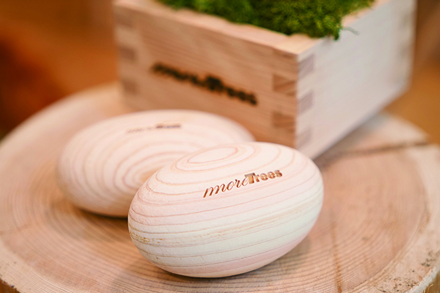 森林保全団体 more trees