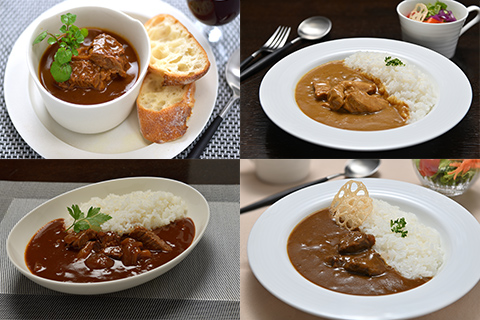 キッチン飛騨 カレー2種＆シチュー・ハヤシセット 12食セット イメージ
