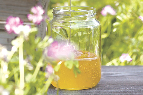 山田養蜂場 国産はちみつ3本セット イメージ