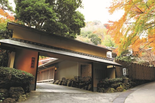 海石榴　イメージ