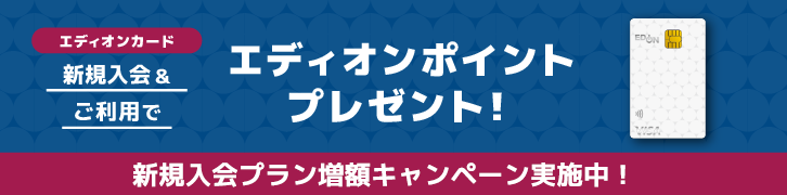 エディオンポイントプレゼント！