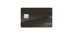 Visa Infinite