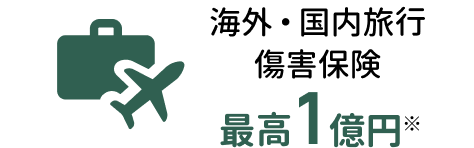 海外・国内旅行傷害保険　最高1億円