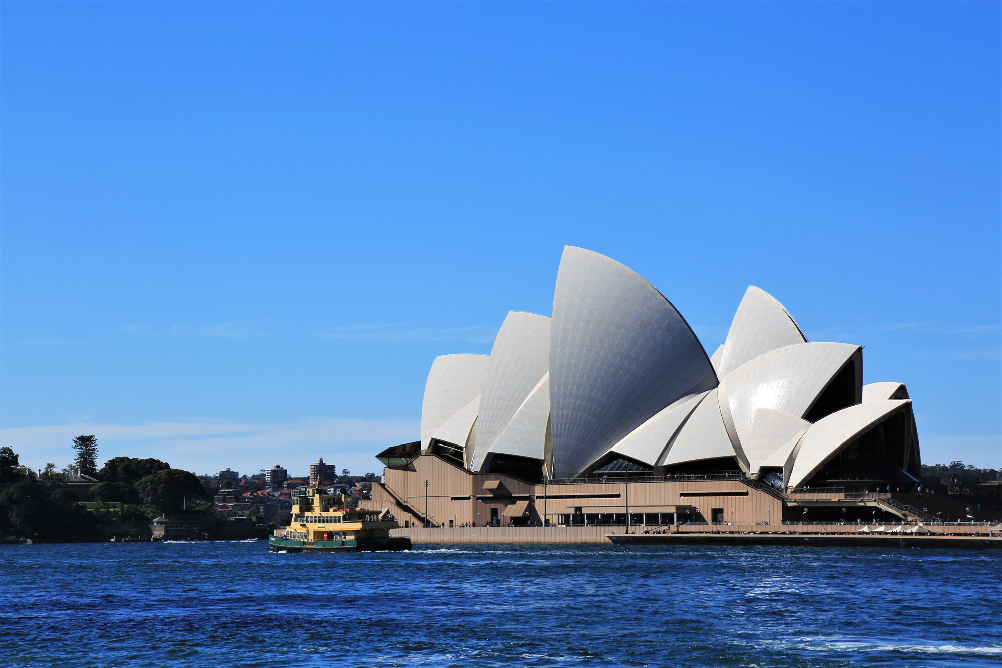 オーストラリア・ニュージーランドのクレジットカード事情!留学・旅行前に確認しておきたいポイント