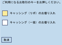 「キャッシング（リボ）」をお選びください。