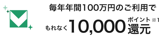 毎年年間100万円のご利用でもれなく10,000ポイント還元※1