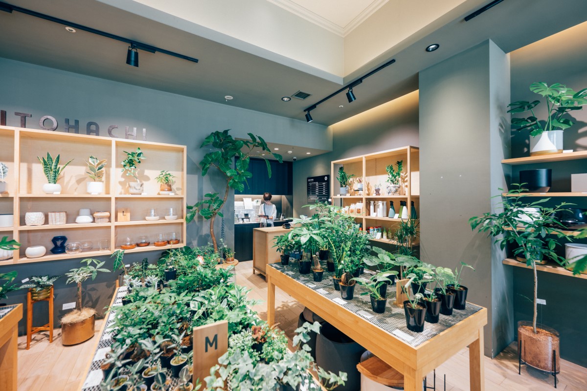 「植物を育てる喜び」を提供する観葉植物専門店