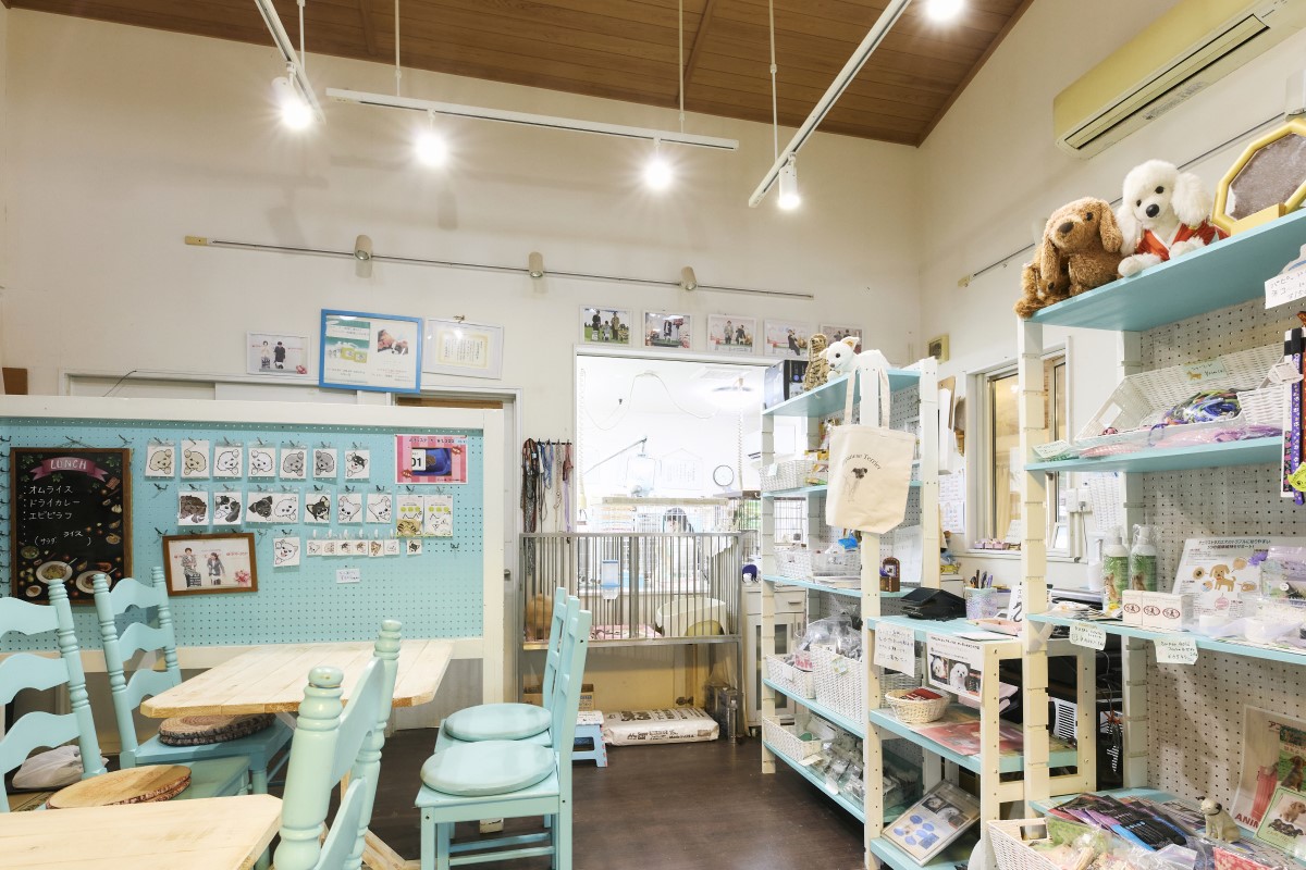 お客様の現金準備の負担を減らし、決済方法の選択肢を増やしたかった