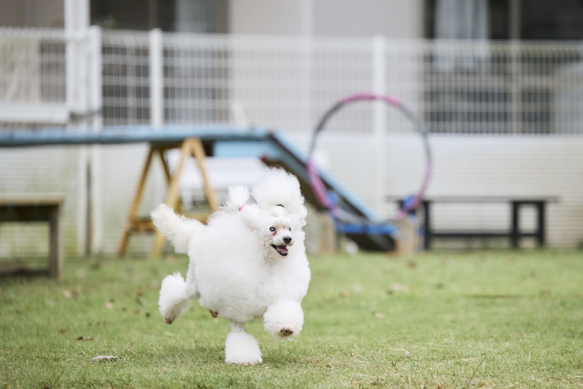 お客様の現金準備の負担を減らし、決済方法の選択肢を増やしたかった
