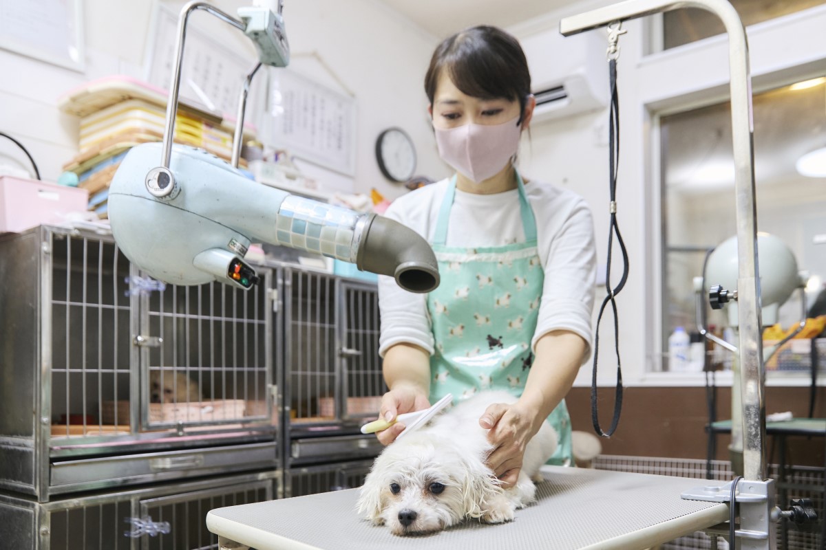支払いの選択肢が増えたことでお客様の満足度がアップ！