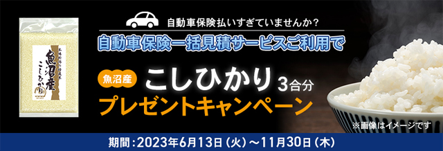 保険キャンペーン