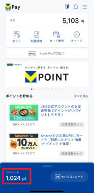 3.Vポイントが表示されていることを確認します。