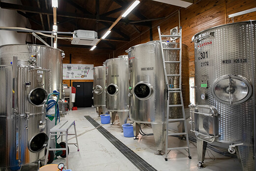 ワインを醸造するためのタンクがずらりと並ぶ醸造所
