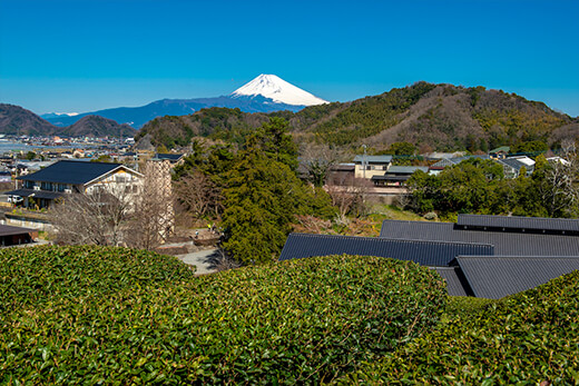 「全部乗せ」風景を一望できる畑
