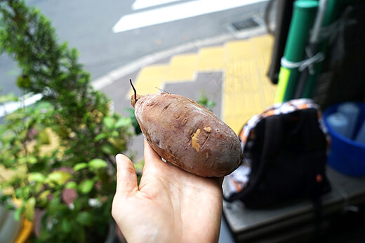 名物の冷凍焼き芋