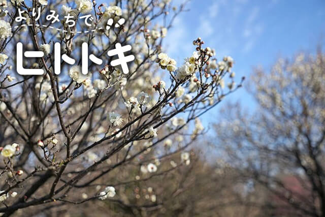 自然がいっぱいの都会「立川」で個性派グルメを楽しみ梅の花を眺めるヒトトキ