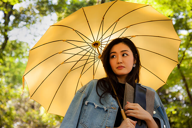 婦人用雨傘 あられ－カーボン－ レモンイエロー　イメージ