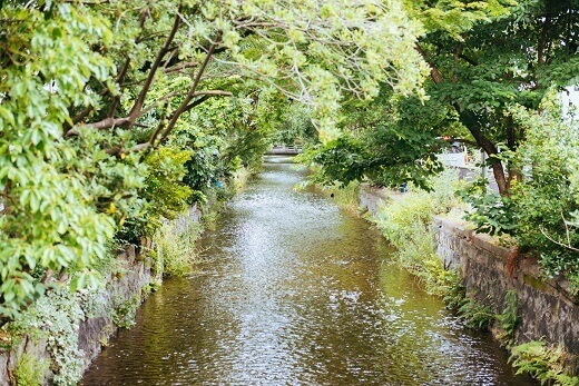 緑豊かな高瀬川