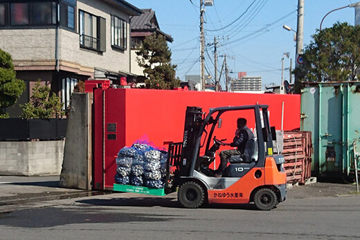 フォークリフトで運ばれる大量のホンビノス貝