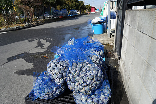 ホンビノス貝直売所「みなとや」へ続く道