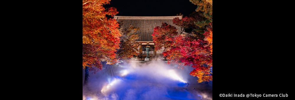 【イベントレポート】世界遺産　仁和寺　紅葉ライトアップ貸切拝観のご案内
