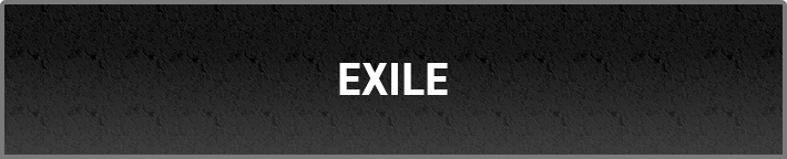 『EXILE』