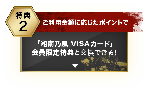 特典2 「湘南乃風 VISAカード」会員限定特典と交換できる！