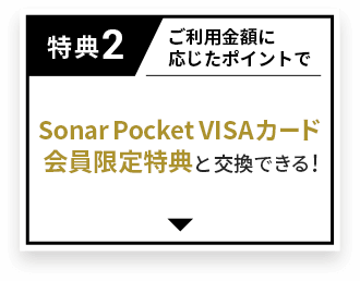 特典2 ご利用金額に応じたポイントでSonar Pocket VISAカード会員限定特典と交換できる！