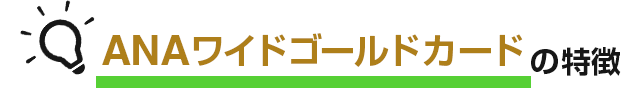 ANAワイドゴールドカードの特徴 イメージ