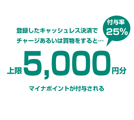 マイナポイントのポイント付与について