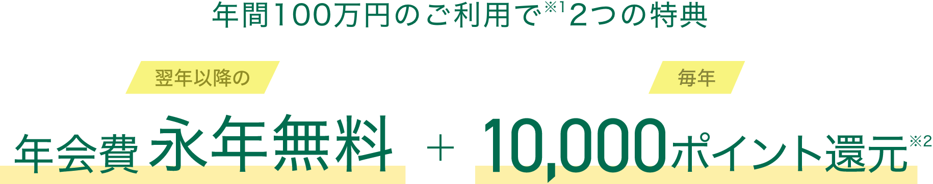 年間100万円のご利用で翌年以降の年会費永年無料 毎年10,000ポイント還元